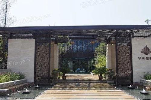 郑州小编最新爆料,揭秘郑州发展背后的故事 第2张 郑州小编最新爆料,揭秘郑州发展背后的故事 第2张